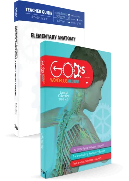 Elementary Anatomy: Nervous, Respiratory, and Circulatory Systems (Set)